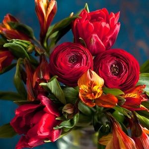 Meet your Posher, Faith